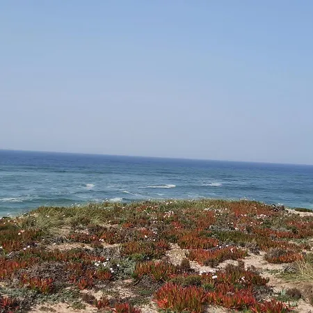 Casa Dina Feriehus Praia del Rei