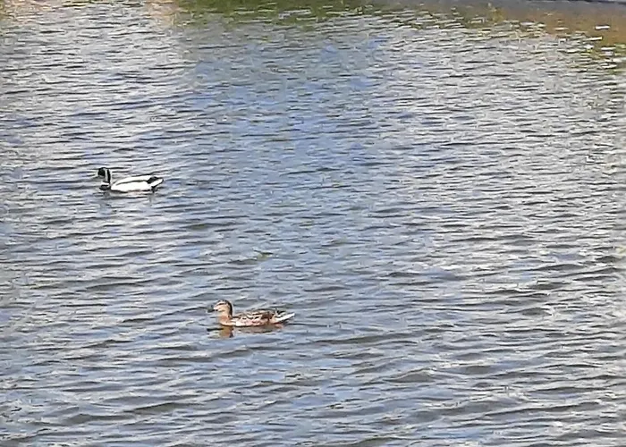 Σπίτι διακοπών Casa Dina